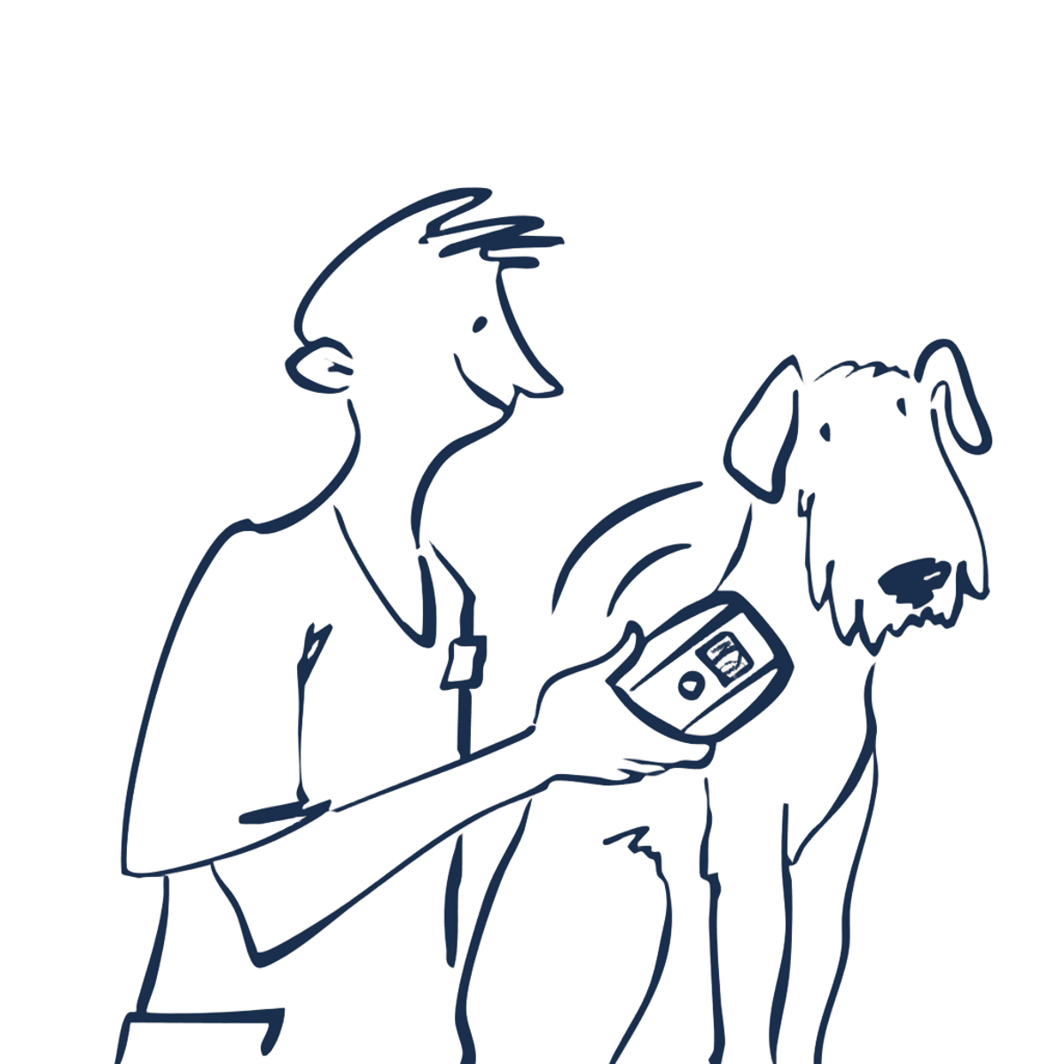 Scanning a Pawe smart pet tag with a smartphone